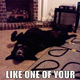 Illustration for article titled My Dog Has Been Like This For 25 Minutes